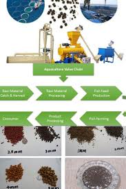 Fish Feed Extruder Raw Materials For Fish Feed In Nigeria In 2020 Fish Feed Fish Farming Fish Farmers
