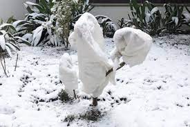 In the winter, lan su chinese garden holds some surprises. News And Announcements Lan Su Chinese Garden