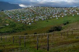 If you have the knack for organizing clutter, know how to manage your time and plan things out in advance, and are sought out by relatives, friends or acquaintances for advice and guidance, you have what it takes to be a professional. In South Africa S Fabled Wine Country White And Black Battle Over Land The New York Times