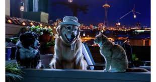 Cats Dogs 3 Paws Unite Movie Review