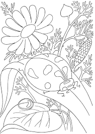 We did not find results for: Insects Coloring Pages 100 Pictures Free Printable