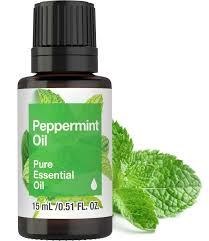 Image result for Peppermint Oil