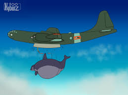 Orca Payload -3- Comm by Kyburz -- Fur Affinity [dot] net