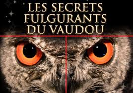 RÃ©sultat de recherche d'images pour "du sang sur vodou"