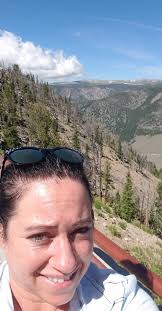 Beartooth Highway Mountain Goat Sighting