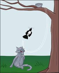 Jun 23, 2021 · i had three cat scans and a full body bone scan two weeks ago to check on the spread of my prostate cancer. Cat Attack