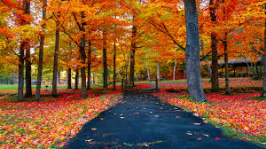 The US Will Soon Look Like An Autumn Wonderland Based On The Fall Foliage 2022 Forecast - Narcity