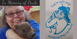 Pot-Bellied Pig Parents