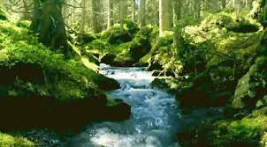 See more ideas about nature, beautiful nature, scenery. 50 Gif Background Nature Gif Wild Country Fine Arts