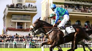 The virginia harness horse association was established to sustain, promote and grow both the breeding and racing opportunities for standardbred horses in the commonwealth of virginia. Grand Steeple Chase De Paris Vip Experiences