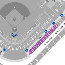 rays club tampa bay rays