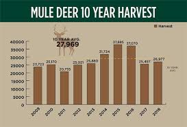 Elk And Deer Hunters Have Productive Year Hunt Cuts Planned