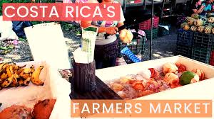 Costa Rica S Farmers Market Best Tropical Fruit In Quepos Travel Vlog Bianca Janel Farmers Market Costa Rica Fruit