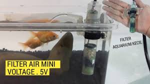 Bentuk filter aquarium yang beragam dari jenis filter mini, kecil, bulat dan bentuk lainnya membuat anda bingung tentunya. Cara Membuat Filter Air Aquarium Mini Ide Kreatif Youtube