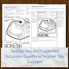 Plant cell worksheet answer key. Animal And Plant Cells Doodle Diagrams Store Science And Math With Mrs Lau