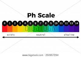 Ph Scale Vector Chart Vector Photo Free Trial Bigstock