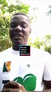 Discovering and Protecting the Togo Slippery Frog: A Conservation Success  Story