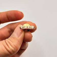 Image result for Silver 1990 Pacific Intermountain Express