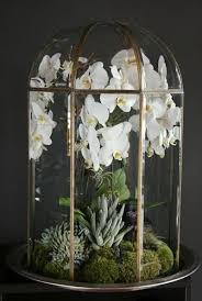 Tumblr Orchid Terrarium Garden Terrarium Orchids