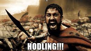 It is both timeless, beloved and demands appreciation from all crypto lovers. Should You Hodl Bitcoin