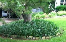 Check spelling or type a new query. Landscape Solutions For The Base Of Trees