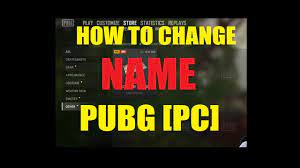 How To Change Name In Pubg Pc Youtube