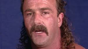Jake Roberts Tells Insane Story Of His Snake Biting Andre The Giant