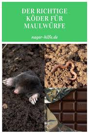 Der Richtige Koder Um Einen Maulwurf Erfolgreich Zu Fangen Maulwurf Im Garten Tierfutter Maulwurf