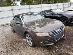 Image result for Teak Brown 2011 A5