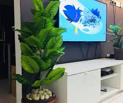 Check spelling or type a new query. Diy Pokok Hiasan Hanya Guna Bajet Rm 24 Je Hias My