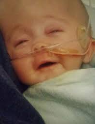 Dalton Reed Jenkins Obituary November 3, 2016