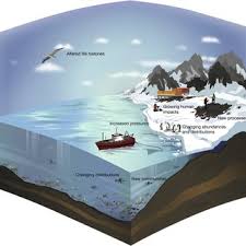 Callister prentice hall brief review check out these additional brief reviews for new york • •the living environment. Pdf One Earth Review Sustained Antarctic Research A 21 St Century Imperative