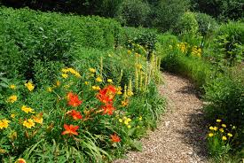 In Nachbars Garten Author Jan Wilde Een Tuin Tuin Tuinpad Prachtige Tuinen