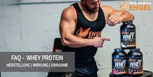 Deshalb sollte bei einer diät zusätzliches eiweiß eingenommen werden. Die Wirkung Von Whey Protein Faq Einnahme Wirkung Von Whey