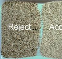 Rice Optical Sorting Machine Rice Color Sorter For Rice Mill