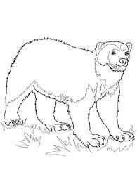 Happy face cute coloring page. Coloring Pages Wolverine Animals