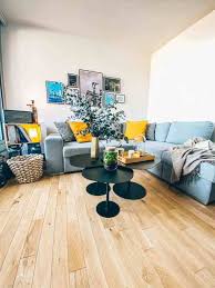 Salon Appartement Studio Cosy Amenagement Salon Decoration Petit Appartement Salon