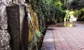 Attività ordinate in base ai dati di tripadvisor, tra cui recensioni, punteggi, foto e popolarità. San Leonardo Di Siete Fuentes Sardegnaturismo Sito Ufficiale Del Turismo Della Regione Sardegna