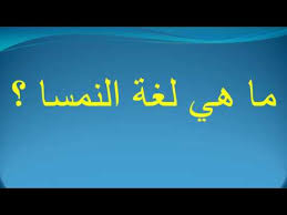 ما هي لغة النمسا Youtube