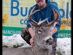 Mancelona Chamber of Commerce