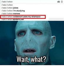 Image Result For Voldemort Memes Harry Potter Funny Harry Potter Mems When Memes