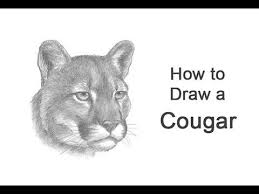 Pin On Animal Drawing Tutorials