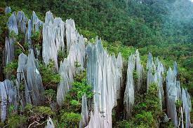 Being the largest among 13 other. Borneo Pictures Sarawak Malaysia Malaysia Reise Gestein Pflanzen