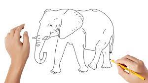 comment dessiner un elephant youtube coloriage animaux coeur
