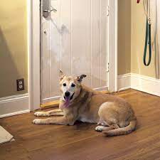 The quick fix to get your dog to stop scratching the door at night is to install a scratch screen on the door. Cardinal Gates Door Shield Petco
