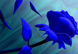 Blue Rose 3d And Cg Abstract Background Wallpapers On Desktop Nexus Image 133530 Wallpaper 3d abstract abstract bonus smileys textured magic inspiration earth network roller stellar. blue rose 3d and cg abstract