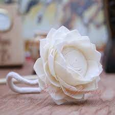 Get latest info on sola flower, suppliers, manufacturers, wholesalers, traders, wholesale suppliers with sola flower prices for buying. Sola Flower Dried Flower Palm Flower Exotic Potpourri Lata Creation Zenx Dried Flowers Zenx Dry Flowers Sola Flowers In India Dried Flower Supliers Sola Flowers Manufacturer Cotton Reed Diffuser Aroma Diffuser Decorative Dried