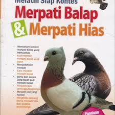 Jika ada yang mw ngasih saran atau request tutorial seputar burung merpati atau burung dara , komentar aja di bawah. Jual Produk Merpati Balap Merpati Termurah Dan Terlengkap April 2021 Halaman 6 Bukalapak
