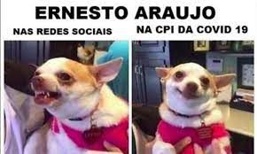 It was first identified in december 2019 in wuhan,. Cpi Da Covid Os Memes Do Depoimento De Ernesto Araujo Politica Estado De Minas