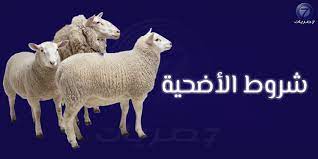 اجدد رسائل عيد الاضحى 2021 تكبيرات العيد. Ø´Ø±ÙˆØ· Ø§Ù„Ø£Ø¶Ø­ÙŠØ© ÙÙŠ Ø¹ÙŠØ¯ Ø§Ù„Ø£Ø¶Ø­Ù‰ Ø§Ù„Ù…Ø¨Ø§Ø±Ùƒ ÙˆØ·Ø±ÙŠÙ‚Ø© Ø§Ù„Ø°Ø¨Ø­ Ø§Ù„ØµØ­ÙŠØ­Ø© Ø­ØµØ±ÙŠØ§Øª